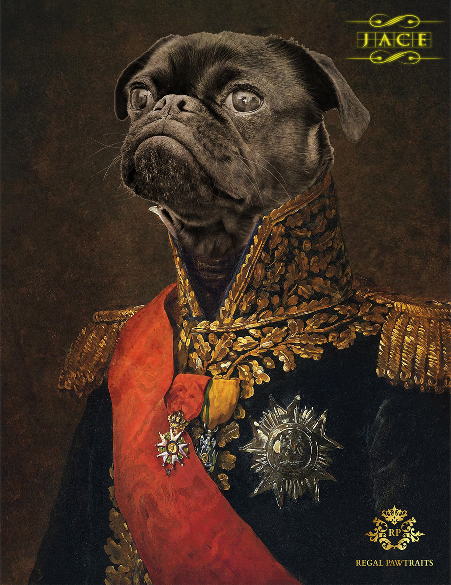 THE MARSHALL | CUSTOM PET PORTRAIT | REGAL PAWTRAITS - Regal Pawtraits